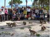 Nha Trang Monkey Island Tour 1 Day | Nha Trang Tour One Day | Viet Fun Travel